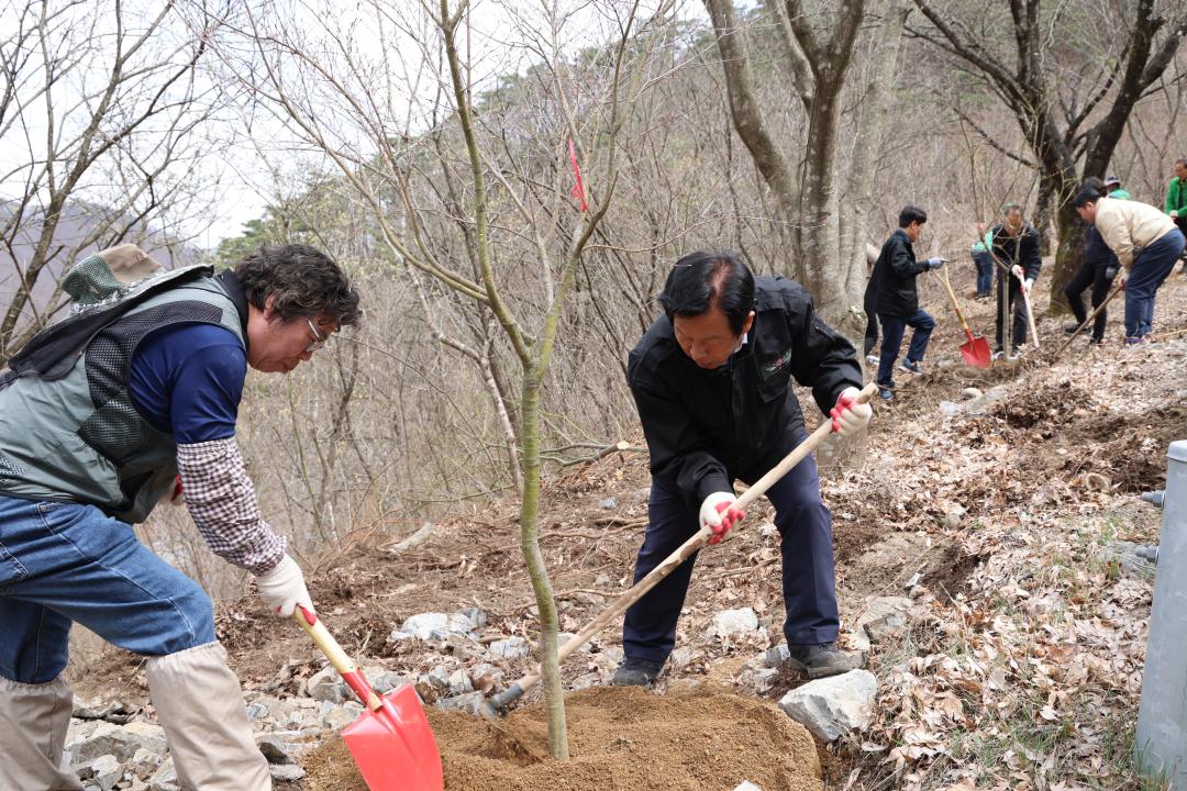'제79회 식목일 나무심기 행사' 게시글의 사진(28) '4.5. 식목일 나무심기 행사 (31).JPG'
