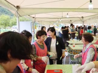 19회 한지형 단양마늘축제
