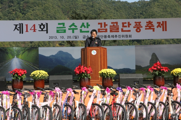 제14회 금수산 감골단풍축제