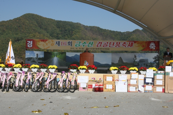 제16회 금수산 감골 단풍축제