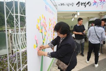 제39회 단양 소백산 철쭉제 상상의거리 체험거리 부스 방문