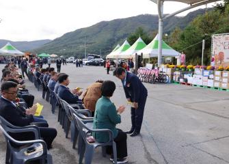 제24회 금수산감골 단풍축제